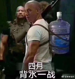 挖到一点海南的干货