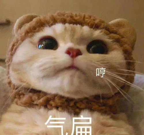 近日娱闻大盘点王嘉尔宋雨琦恋情曝光,王俊凯最新机场饭拍