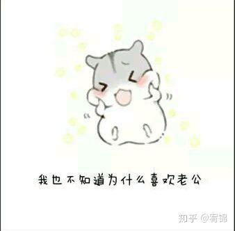 专业土情话