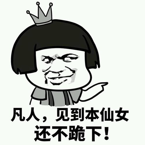 搞笑趣图表情包我就是老司机,快上车啊