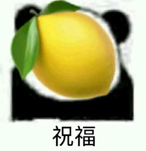 斗图表情包这届网友一个比一个傻