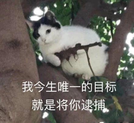 厦门美食推荐