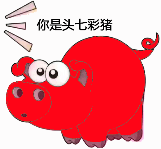 搞笑斗图表情包你是头七彩猪
