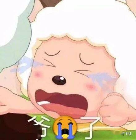 招新找到了小奶狗弟弟也太可爱了