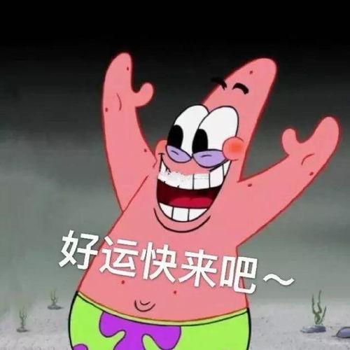 6月开始考研,还来得及吗