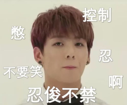表情防弹少年团搞笑表情包能吃这么大碗的其其猫,你信吗表情