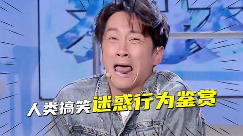 搞笑视频当我用小号和表姐聊了半个月,人类迷惑行为鉴赏