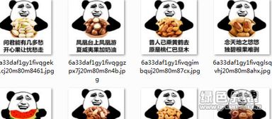 吃货作诗表情包吃货作诗搞笑图片v0908高清无水印版软件下载