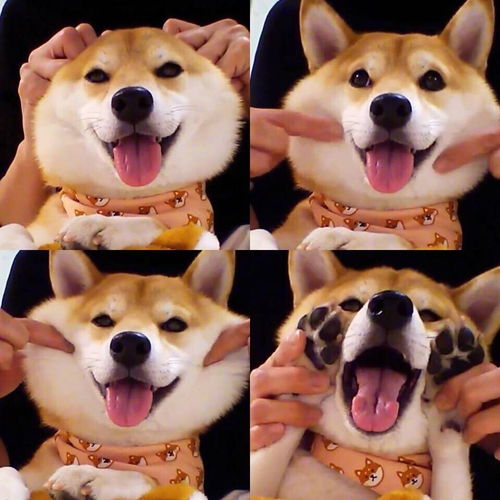丧