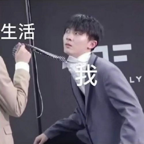 一组tnt时代少年团的沙雕表情包