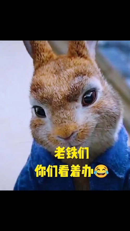 祝老铁们开心快乐每一天看一遍笑一遍兔兔动漫
