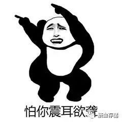 每日一笑土味情话熊猫表情包,表白可以用表情包了哦