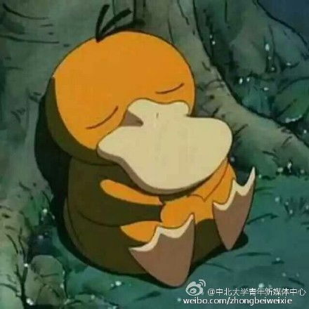可达鸭表情包火了可达鸭表情包下载