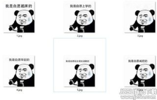 聊天工具最新软件订阅jz5u绿色下载站
