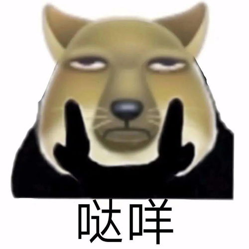 近期热门表情包又狗又沙雕