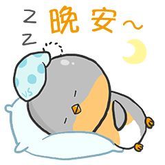 朋友圈晚安动态最火表情包晚上好表情图片动画