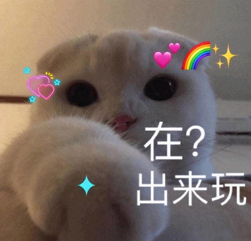 搞笑表情包小师妹的个人展示页