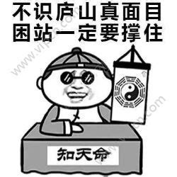 王者荣耀搞笑表情包队友