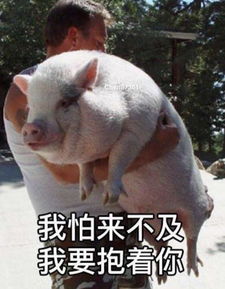 为了吃口猪肉,我太难了