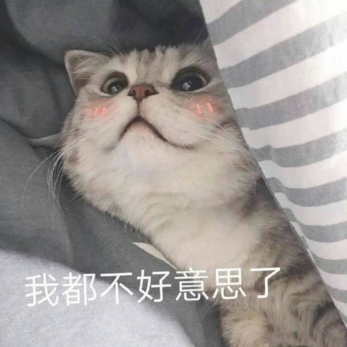 表情包爱情是最不靠谱的东西