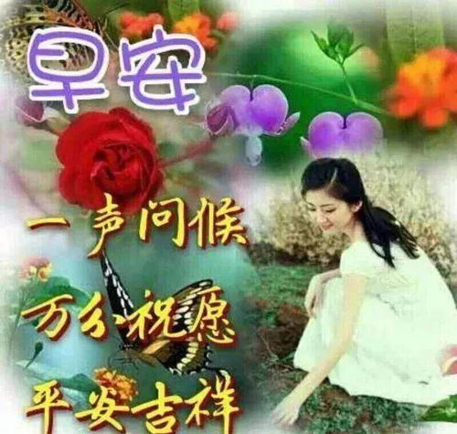 微信清晨早上好温馨问候表情祝福语,早安问候语及暖心的话,祝你梦想成真