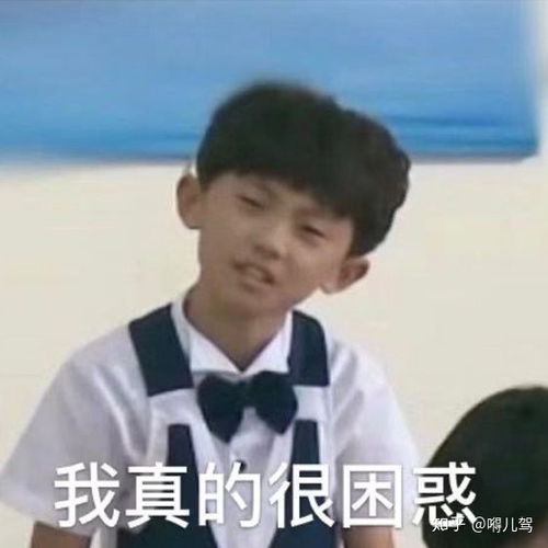 楼姐们有十八楼的表情包吗
