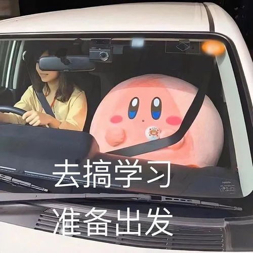 晒太阳图片搞笑表情包晒车