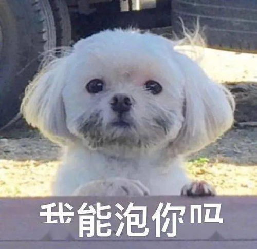 我是不是有点胖了