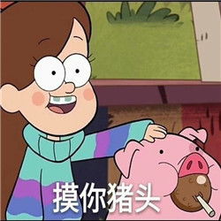 猪猪的凝视摇摇猪表情包