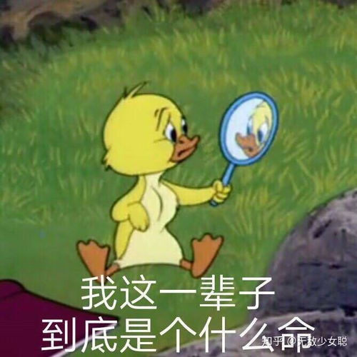 哈佛减肥法减肥记录