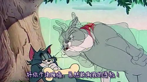 爆笑四川话猫和老鼠搞笑视频,你是不是想继承我的蚂蚁花呗第二部分