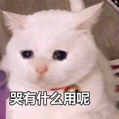 表情包难过搞笑七夕