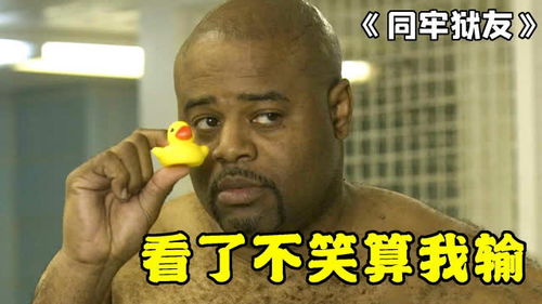 高评价爆笑喜剧,人人都记得这个表情包,原来是出自这部电影
