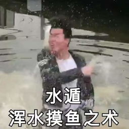 土味忍术对决表情图片下载土味忍术对决表情包高清无水印极光下载站