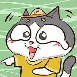 流浪猫阿果萌萌哒头像