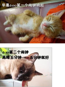 喵喵上班族的一天中枪的香油请举手