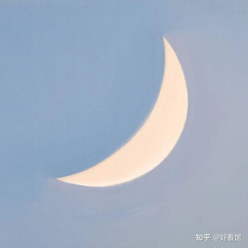 黑白头像简约干净