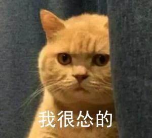 超沙雕的搞笑表情包爱情来得快,去得也快,只有表情包是永恒的