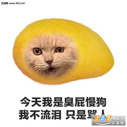 今天我是开心阿婆没有理由就是傻乐表情包今天我是臭屁慢狗我不流泪只是骂人水果动物表情包下载乐游网游戏下载