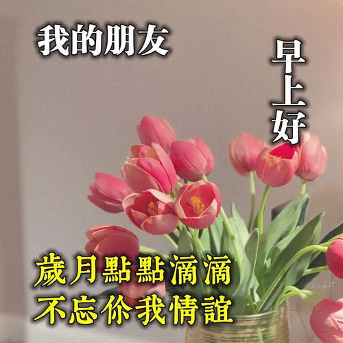 2021星期五清晨早安温馨问候语集锦,早上好鲜花漂亮问候语图片