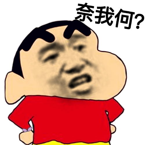 奈我何