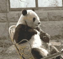 搞笑段子自古真情留不住,唯有套路得人心