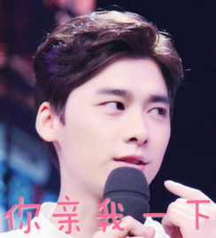 李易峰表情包带字大全峰峰搞笑表情包