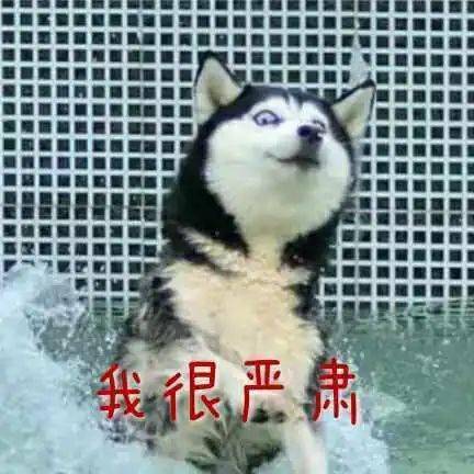 郑州开罚骑乘电车不戴头盔头盔咋存放
