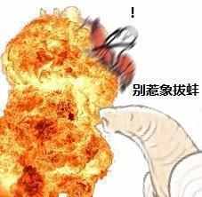 搞笑皮皮虾图片皮皮虾,我们走