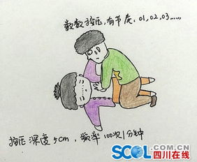 自贡美女医生手绘q版漫画普及心肺复苏知识