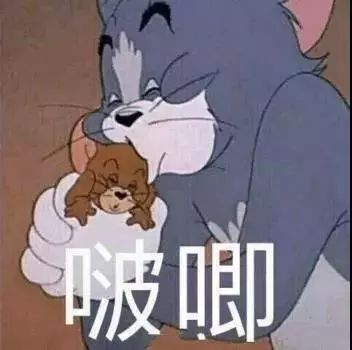 表情包你这样对得起你的良心吗