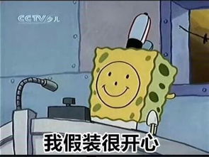 海绵宝宝表情包堆糖,美好生活研究所
