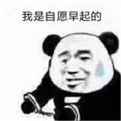 我是自愿系列搞笑聊天表情