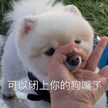 沙雕表情包大全搞笑狗子